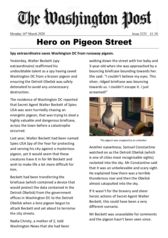 thumbnail of Pigeon Street Spy Newspaper Report and Tasks