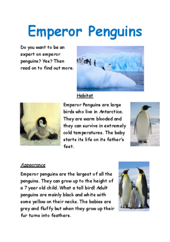 Emperor-penguins