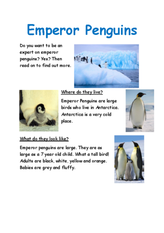 Emperor-penguins-LA