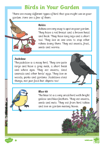 Birds in Your Garden Differentiated Reading Comprehension Activity