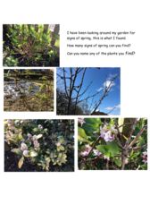 thumbnail of signs of spring