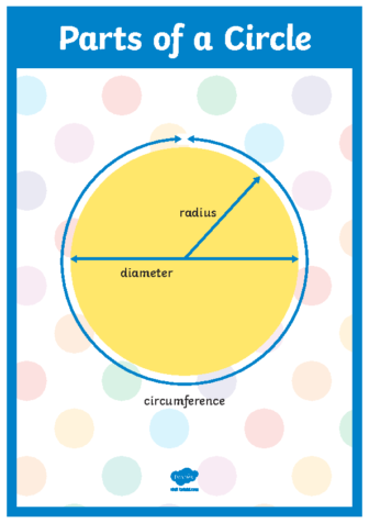 t2-m-2420-year-6-parts-of-a-circle-display-poster