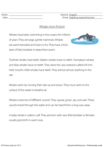 Reading comprehension – Whales (non-fiction)