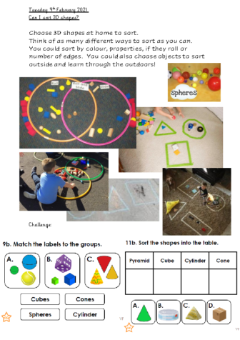 Tuesday 9th February Sorting 3D Shapes